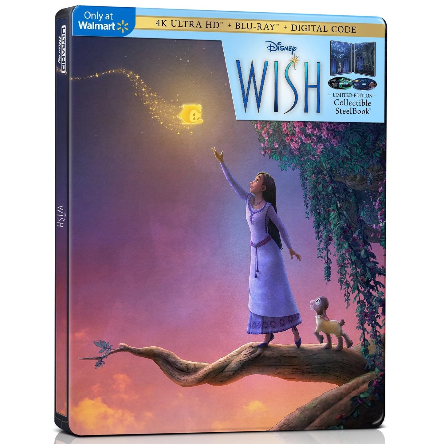 Заветное желание (2023) (англ. язык) (4K UHD + Blu-ray) Steelbook