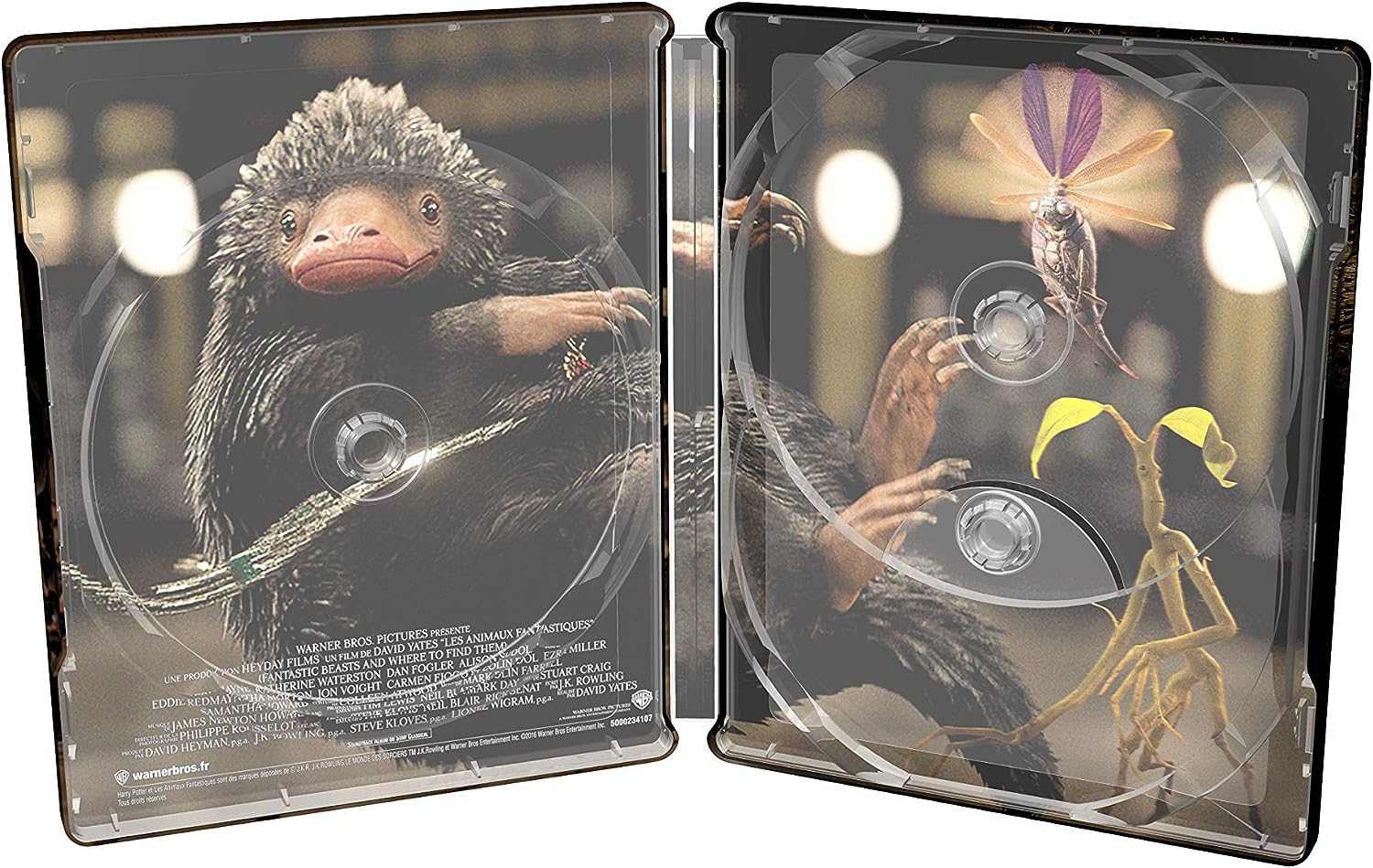 Фантастические твари и где они обитают 3D + 2D [Подарочное издание] (2 Blu-ray) Steelbook