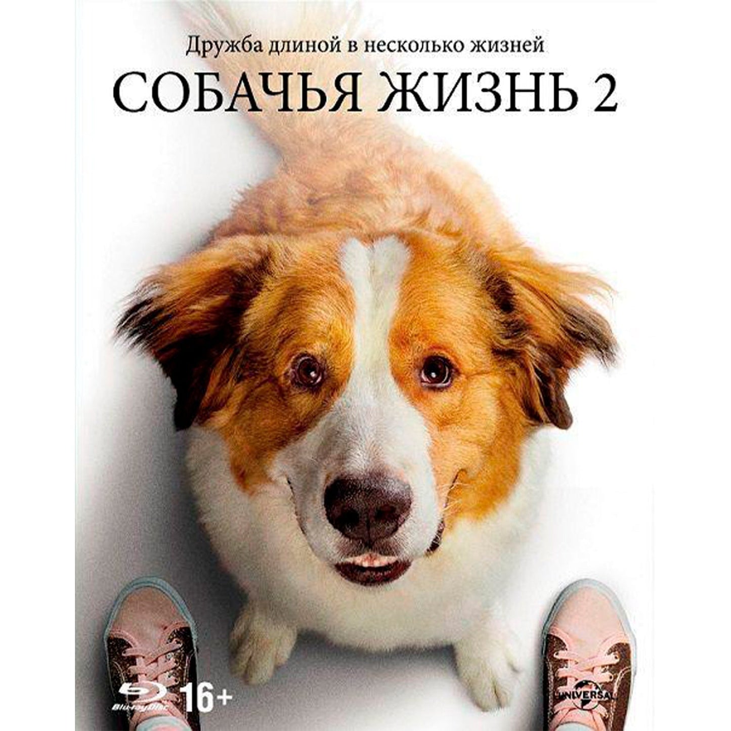 Собачья жизнь 2 (Blu-ray)